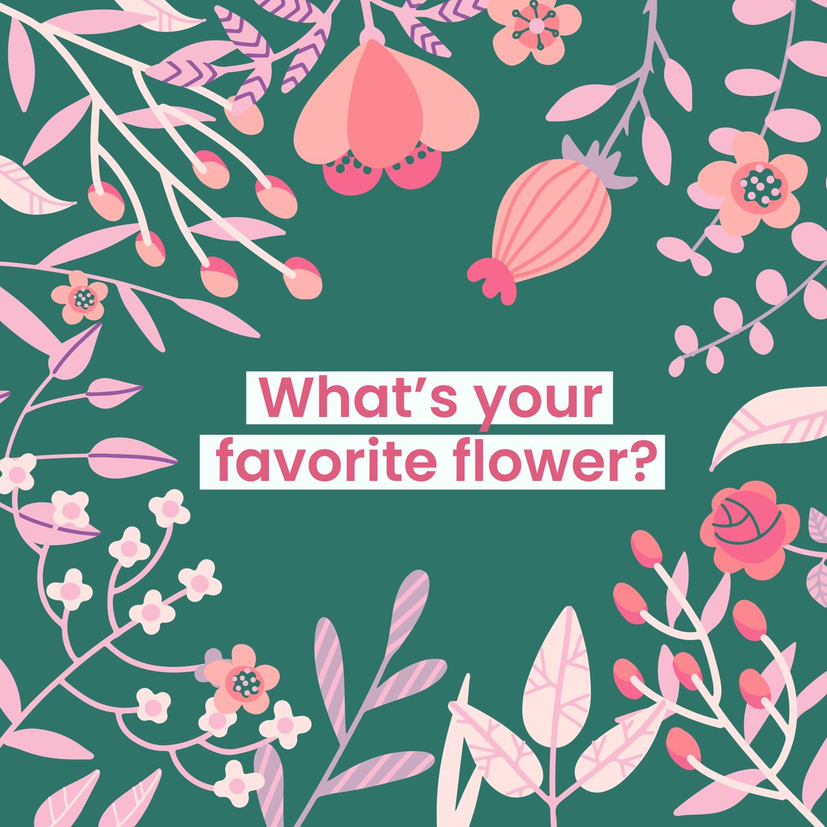 BloomNation tweet media