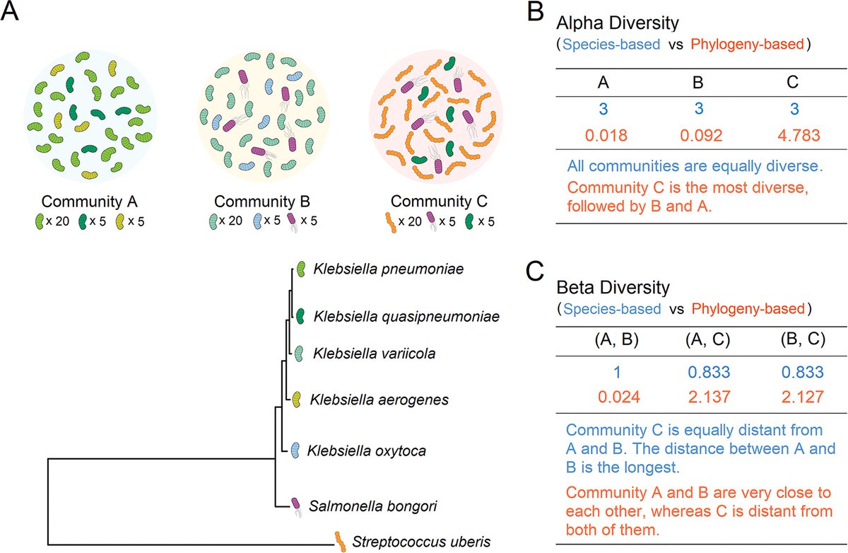 EvolvedBiofilm's tweet photo. PhyloPlus: a Universal Tool for Phylogenetic Interrogation of Metagenomic Communities

-in @mbiojournal 

https://t.co/ByEbxh7gqJ https://t.co/ocBBLdHzdx