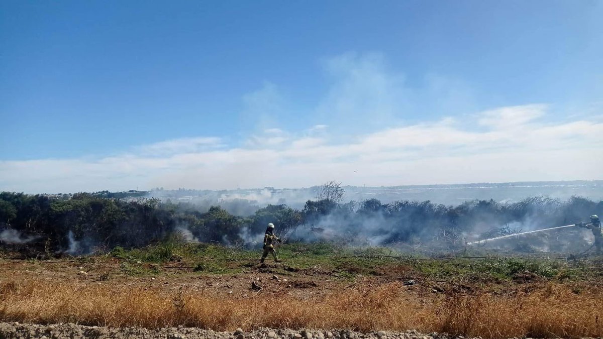 OctavaCBPM's tweet image. Continuamos trabajando en INCENDIO FORESTAL DECLARADO en sector Chin Chin Grande, calle Los Aromos. 🚒@CBPMO