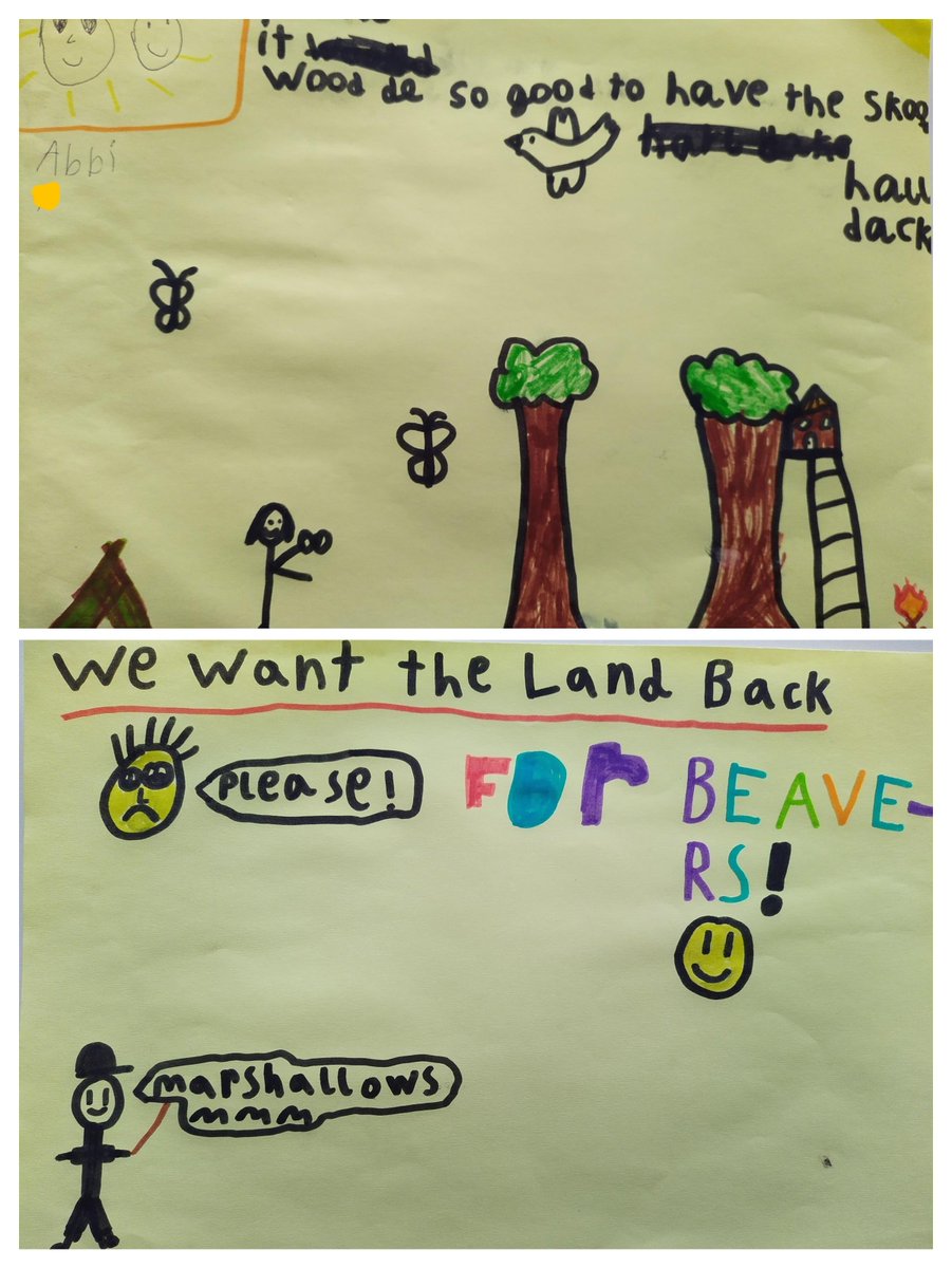 Our Beavers have some very clear ideas about what they would do if they were able to use the Old Scout Hut and the beautiful Gorne Wood site again! Let's make it happen fourthreserve.org.uk