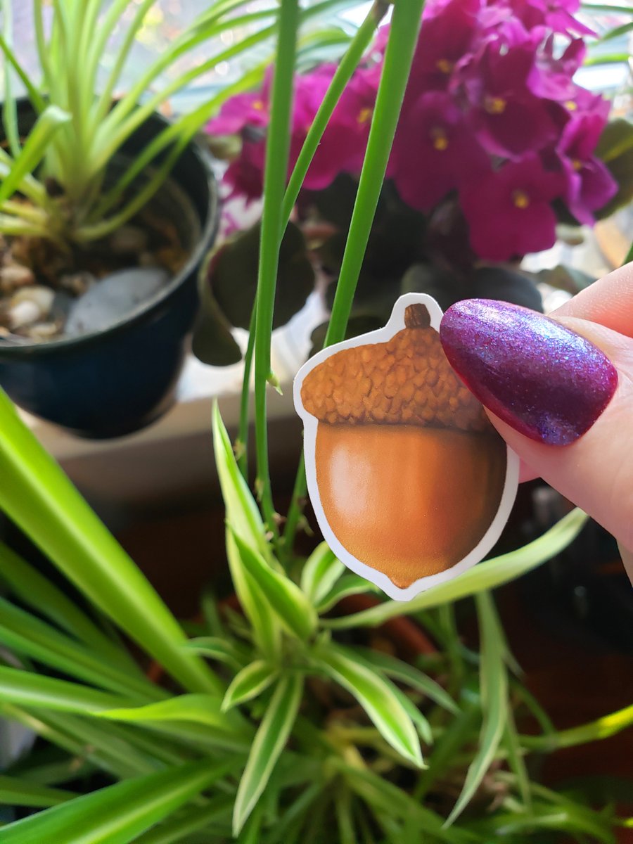 MickeyMused's tweet photo. Sweet little acorn #stickers #stickershop https://t.co/lEqKYvEhcf