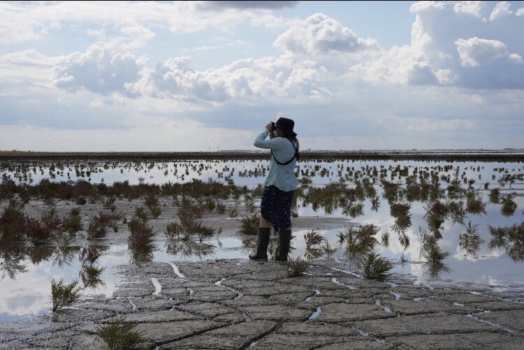 We received an amazing 67 applications for the Venice Action Site #artistresidency for #waterlandsH2020 @WaterLANDS_EU