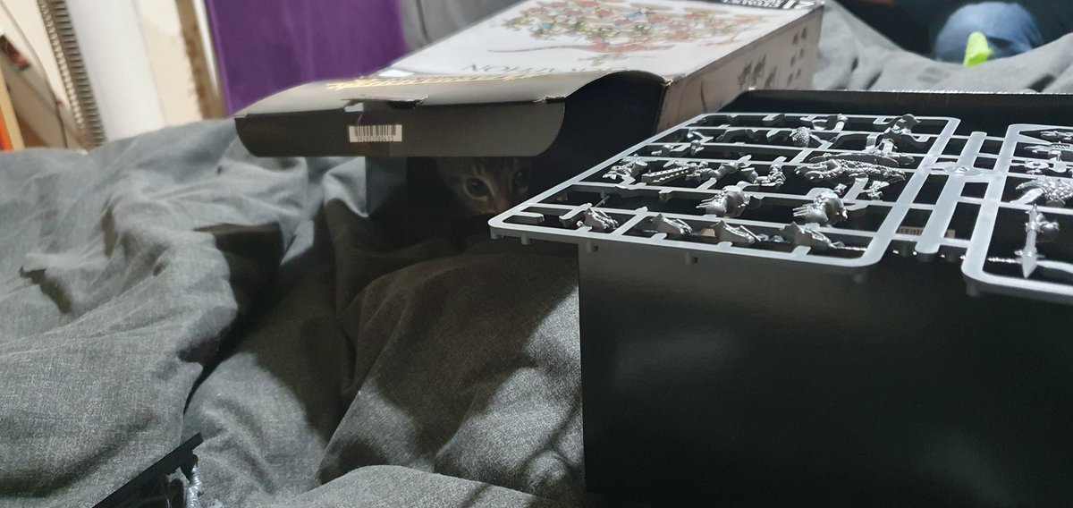 SapphySkies's tweet photo. Was building some more Skink riders last night.
The box didn't stay empty long.
#Kitten #KittensofTwitter #WarhammerSkinks #WarhammerAgeofSigmar #WarhammerKitten #BoxKitty #TabbyCat #CatsofTwitter https://t.co/FmJpIJEnHt