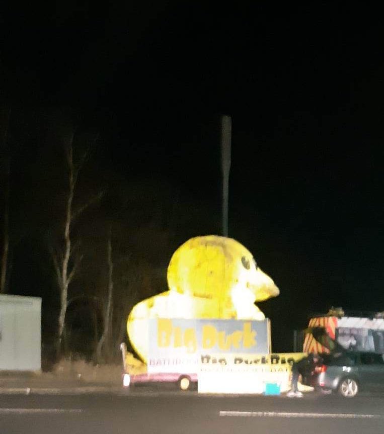 Tough shift 🫣🥺🥵🥶…. Then you see this driving home ….. and the world seems at rights again #mademelaugh #glasgow #ducks ps … the passenger took it 🥸🤪