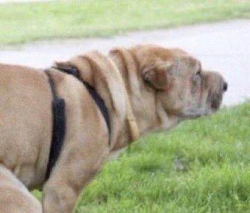 xcellerations's tweet image. 