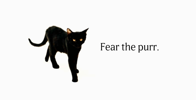firstshowing's tweet image. 🐈‍⬛🇯🇵 onfs.net/3WoeREQ

#FearThePurr #MadCats #Slamdance