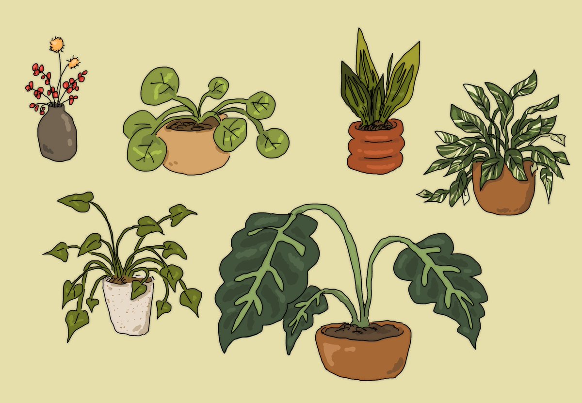 「some of my house plants  just for fun : 」|jackieのイラスト