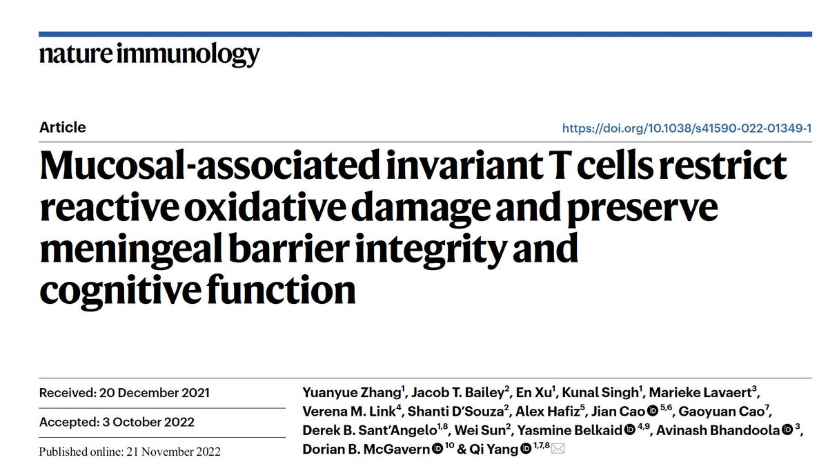 CHINJ_Rutgers (@chinjrutgers) on Twitter photo A new study from Dr. Qi Yang <a href="/ChinjRutgers/">CHINJ_Rutgers</a> <a href="/RWJMS/">Rutgers RWJMedSchool</a> found "Mucosal-associated invariant T cells restrict reactive oxidative damage and preserve meningeal barrier integrity and cognitive function"
nature.com/articles/s4159… A new study from Dr. Qi Yang <a href="/ChinjRutgers/">CHINJ_Rutgers</a> <a href="/RWJMS/">Rutgers RWJMedSchool</a> found "Mucosal-associated invariant T cells restrict reactive oxidative damage and preserve meningeal barrier integrity and cognitive function"
nature.com/articles/s4159…