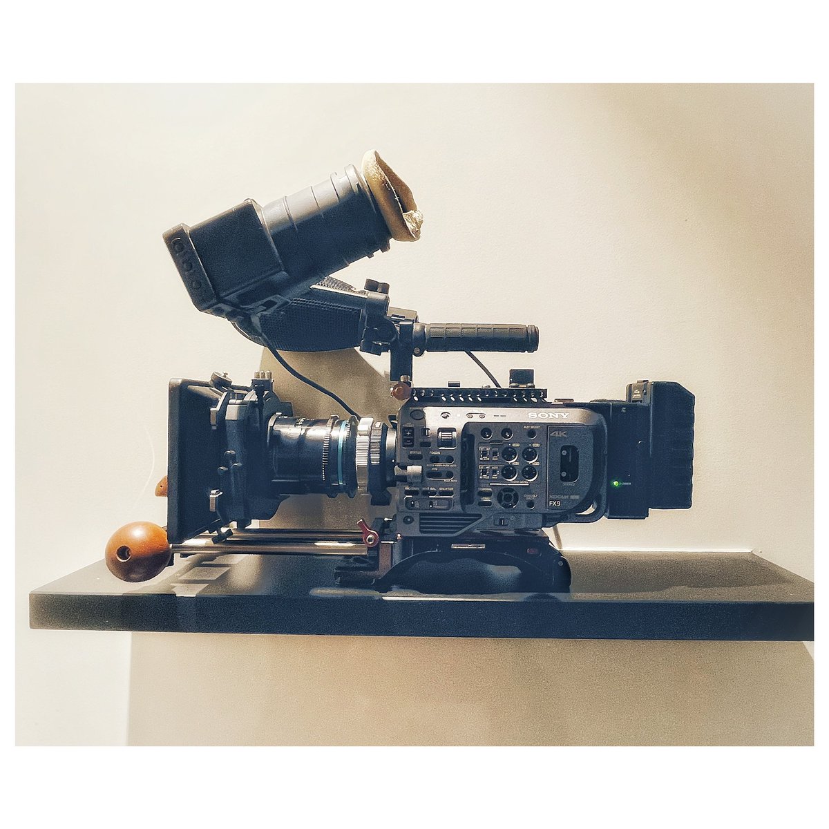 Shongo Films tweet media