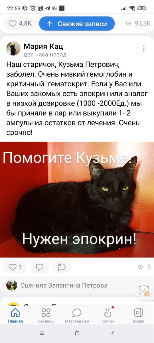 Прислали в личку вк, размещаю и здесь. Питер и ЛО, очень срочно и очень сильно нужен эпокрин для котика с хпн. Может, у кого-то осталось после лечения? Если да, то звоните сразу, пожалуйста по номеру:

+79119240667