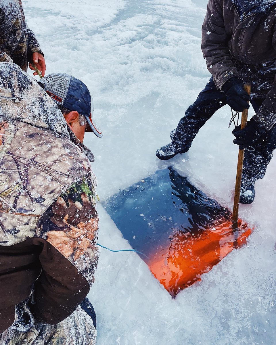 Ce soir, pêche au jiggaboard à Wikwemikong. 

Chuck et la cuisine des Premiers Peuples 📍 Lundi 21:30 sur <a href="/APTNtv/">APTN</a>