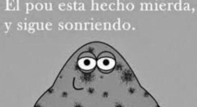 pelirrojohungry's tweet photo. https://t.co/8TgJ3Iifsm