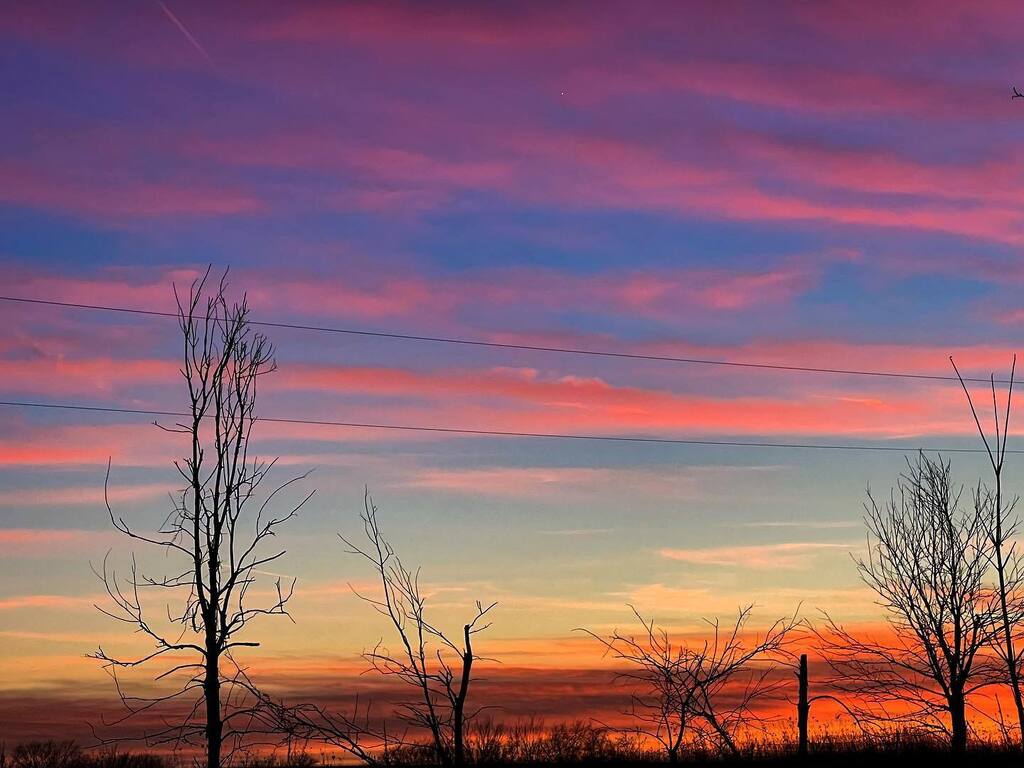 Whispers .⁣ .⁣ .⁣ .⁣ .⁣ #midwestliving #ruralmissouri #midwestisbest #midwestmoment #missourinaturephotographer #monature #missourionly #missourioutdoors #missouriconservation #sullivancountymissouri #mdcdiscovernature #missourilife #exploremisso… instagr.am/p/Cnf5lQwM3jQ/