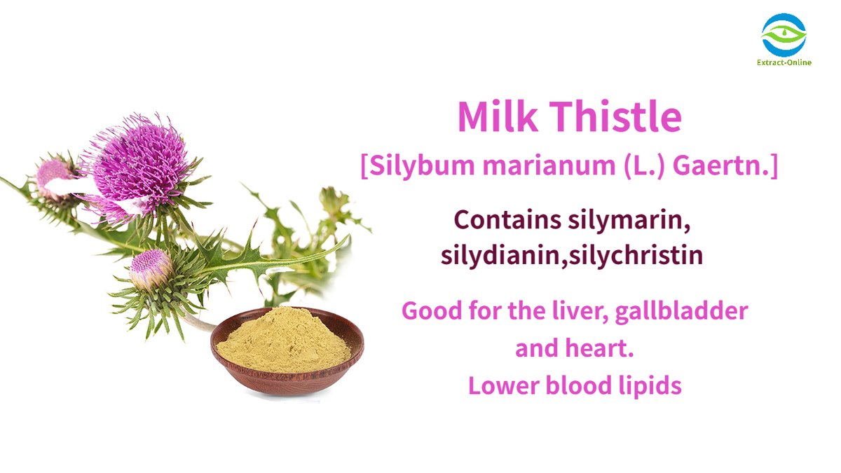 Carrie54023719's tweet image. Milk thistle contains silymarin,silydianin,silychristin. It&apos;s good for the liver, gallbladder and heart,it also have the effect of lowering blood lipids.
#plantextracts #milkythistle #ecommerceb2b #milkthistleextracts #ecommerceb2bsuppliers #plantextractb2bsuppliers
