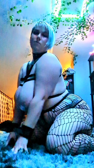 Certified stress toy 😉 Squeaky squeaky https://t.co/kVhnYQ1kom