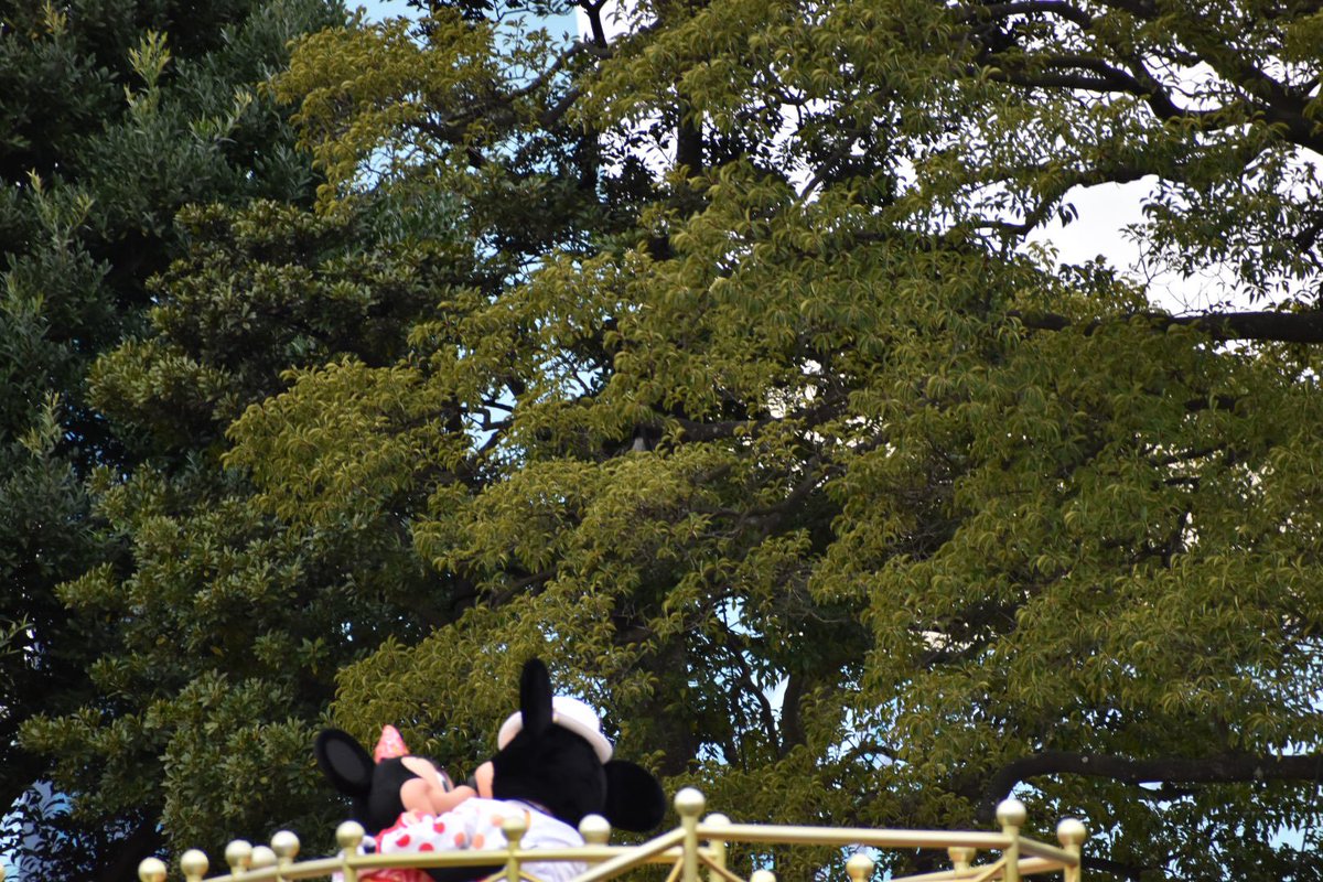 reve_fe_S2's tweet photo. ヲタクは見逃さなかった https://t.co/ncwczYlLt7