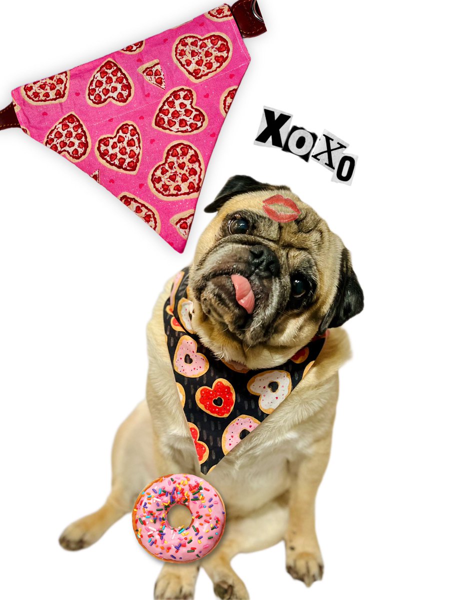 Pugs and kisses💋 #NewProfilePic #dogbandana #bandana #bandanas #petbandana #dogbandanas #dogbandanasforsale #dogbandanashop #dogmodel #petmodel #dogmodels #pugs #donuts #pug #donut #valentine #valentines #valentinesday #vday #puglover #pizzalover #pizza #pugsofinstagram #puglove