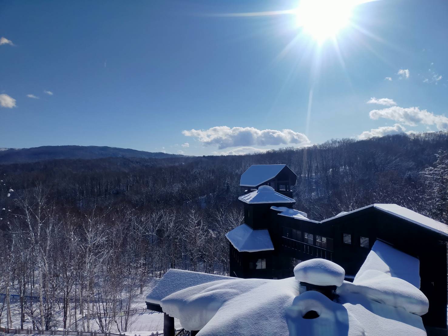 滝野の森staff on Twitter