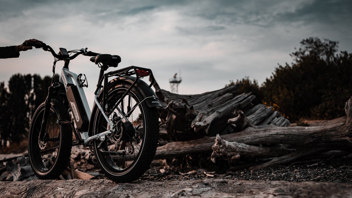 multijoycom's tweet photo. When using the pedal assist mode, the power typically kicks in during the second pedal rotation. Experienced e-bike riders recommend that when passing through an intersection or starting an uphill journey, it’s best to stay in low gear with possible power assist.#biking #freeride https://t.co/Lyq7cxkxiF