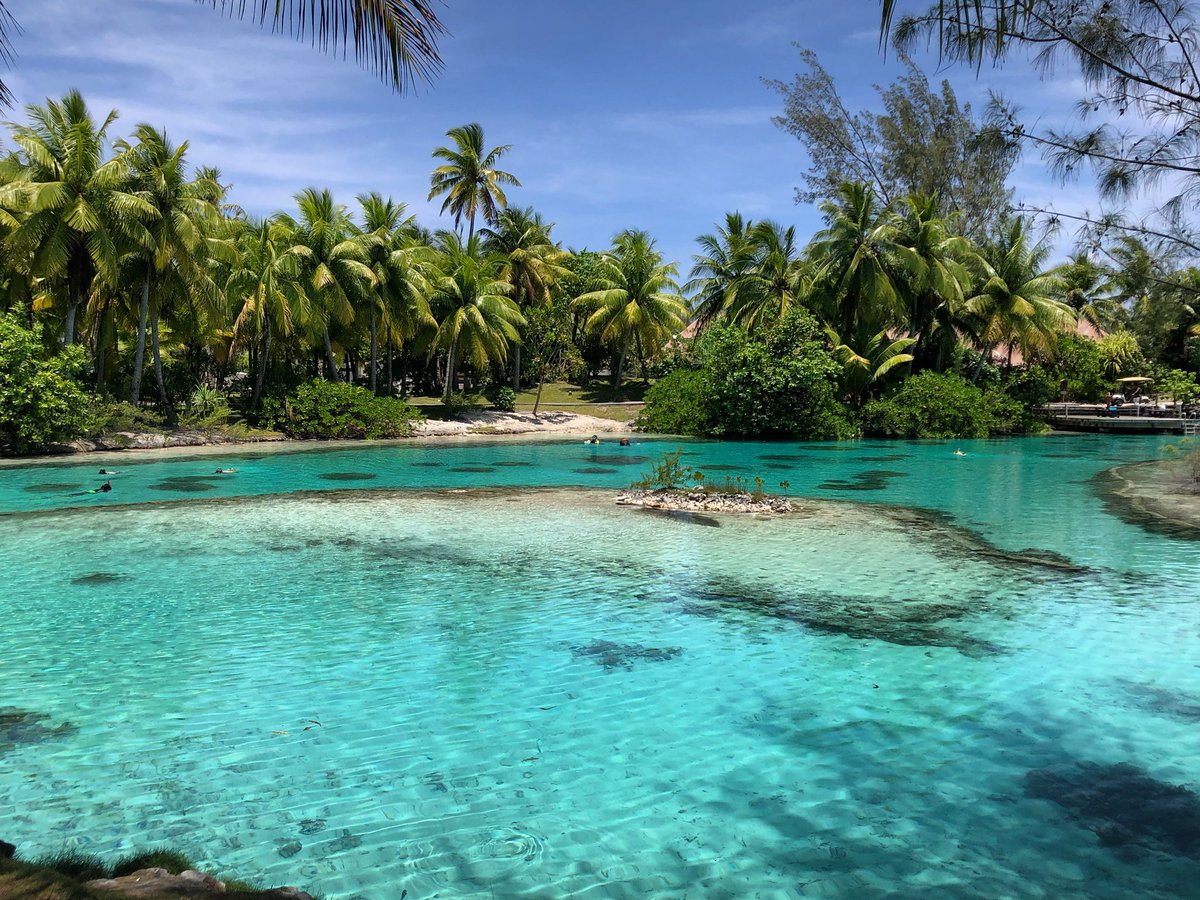 AtaeVerly's tweet photo. Great snorkeling spot to explore fishes and corals for not expert swimmers, or people not confident swimming in the lagoons. #theislandsoftahiti #lovetahiti #borabora #bora #familydestinations #snorkeling #tahiti #frenchpolynesia https://t.co/IChpGEkdGh