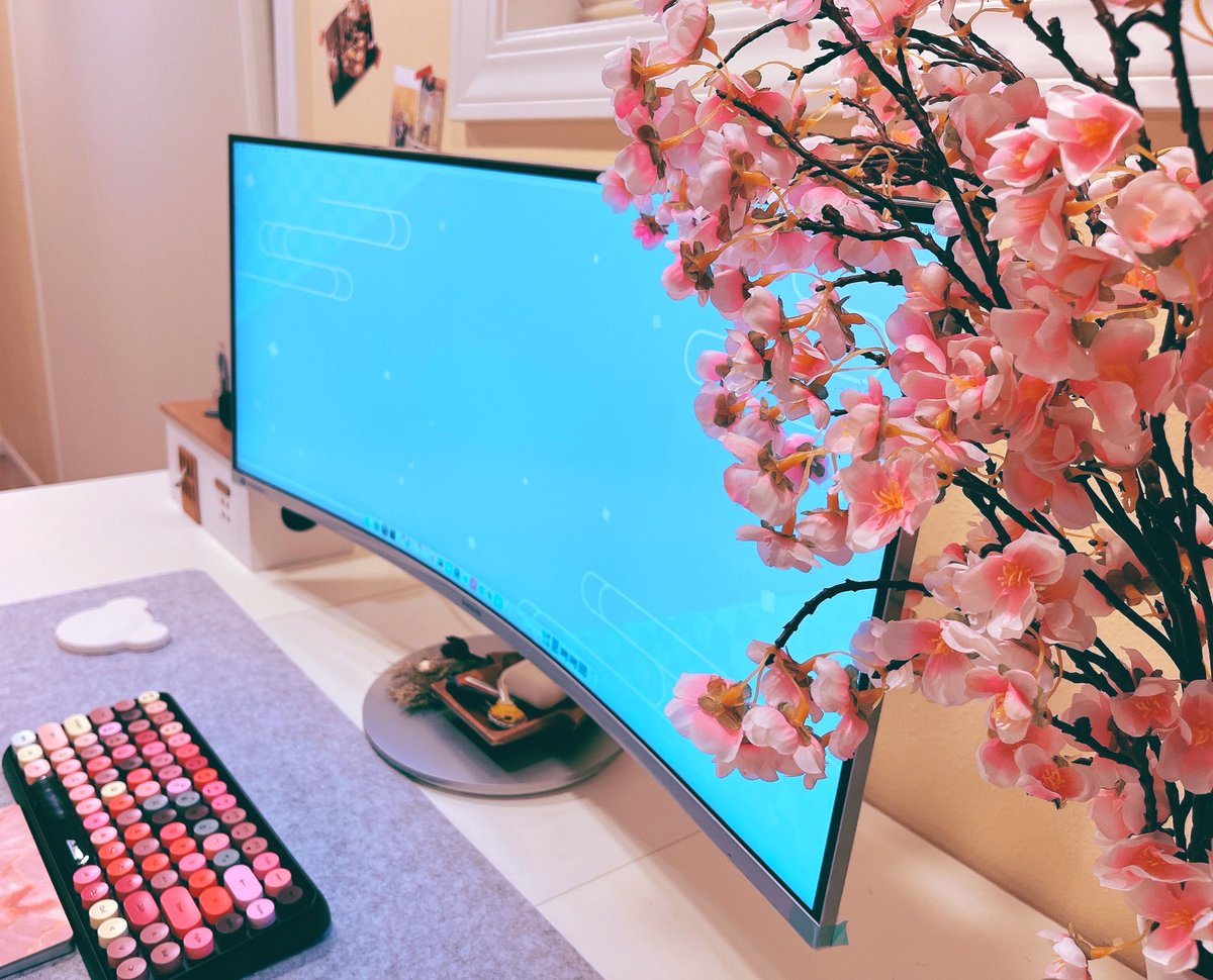 My work desk is now blooming cherry blossoms 🌸😆

#desksetup #homeofficedecor