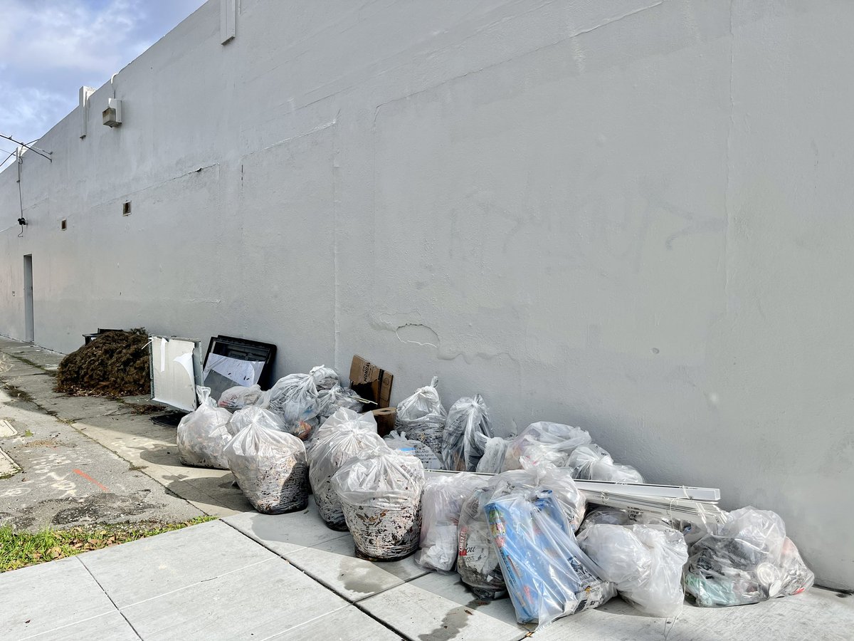 Great neighborhood cleanup in West Oakland today!

20 volunteers
6 blocks
35 bags of trash
1 Christmas tree
1 television
1 filing cabinet

All in an hour and a half! 

wocleanup.org
#OaklandMLK #OaktownPROUD #VolunteerOakland