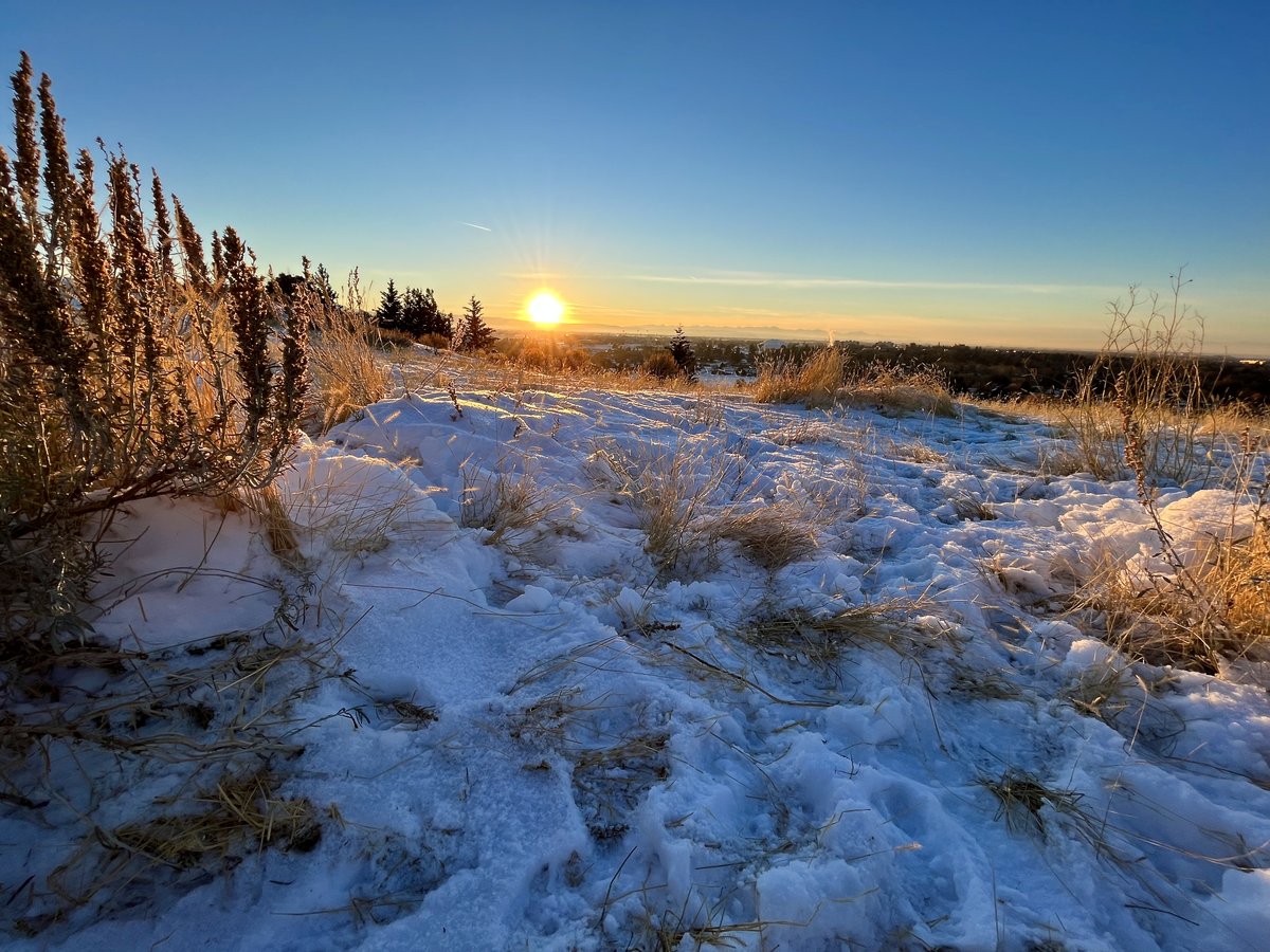 JasonKechely's tweet photo. A variety pack of #SunsetShrubbery to close out this #BlueMonday. Nature soothes my blues (when it's not trying to kill me!).  #PrettyOnPeets  #BozemanMT https://t.co/QYF3briJNM