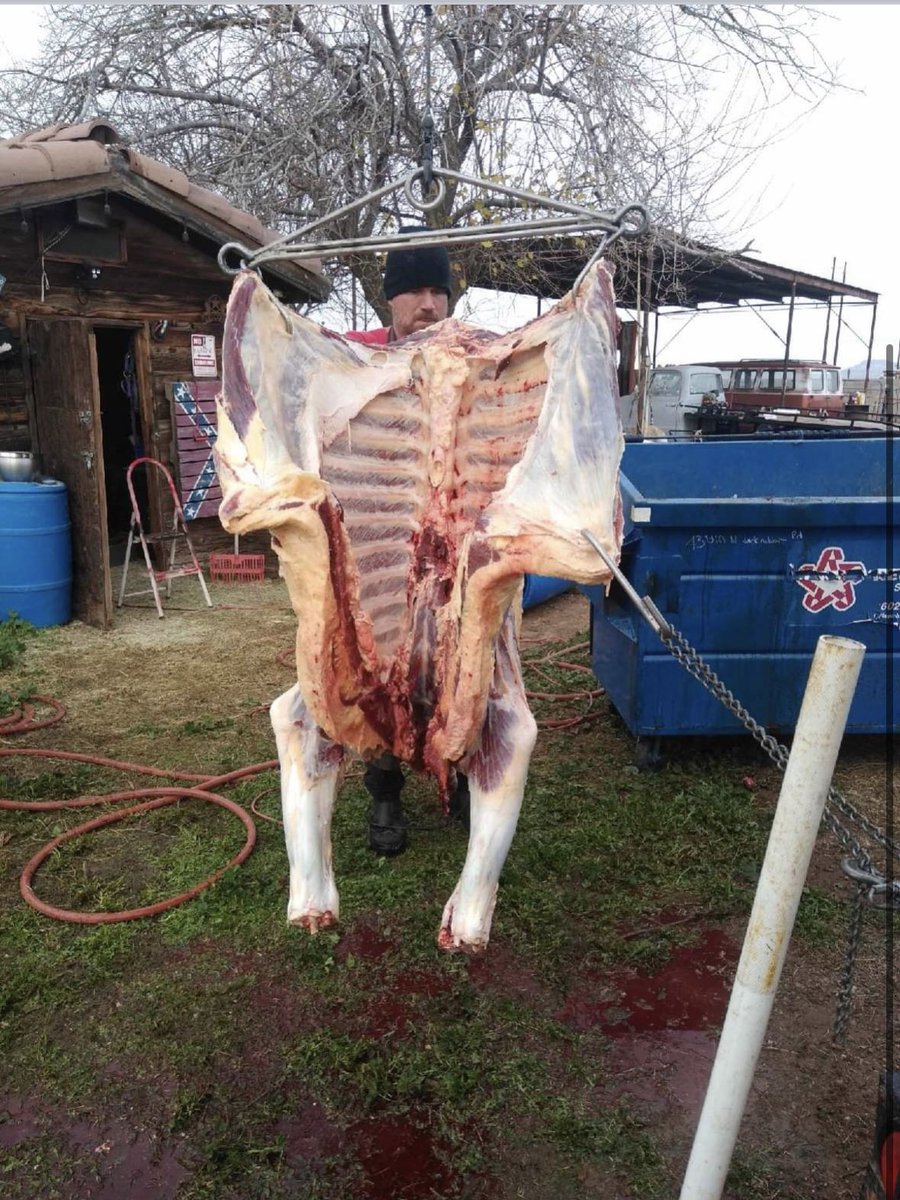 MeatandSun's tweet photo. It’s butchering day. Not all women want flowers. Some want a freezer full of organic grass fed beef. 🥩🥰 https://t.co/jxLBwRJE2p