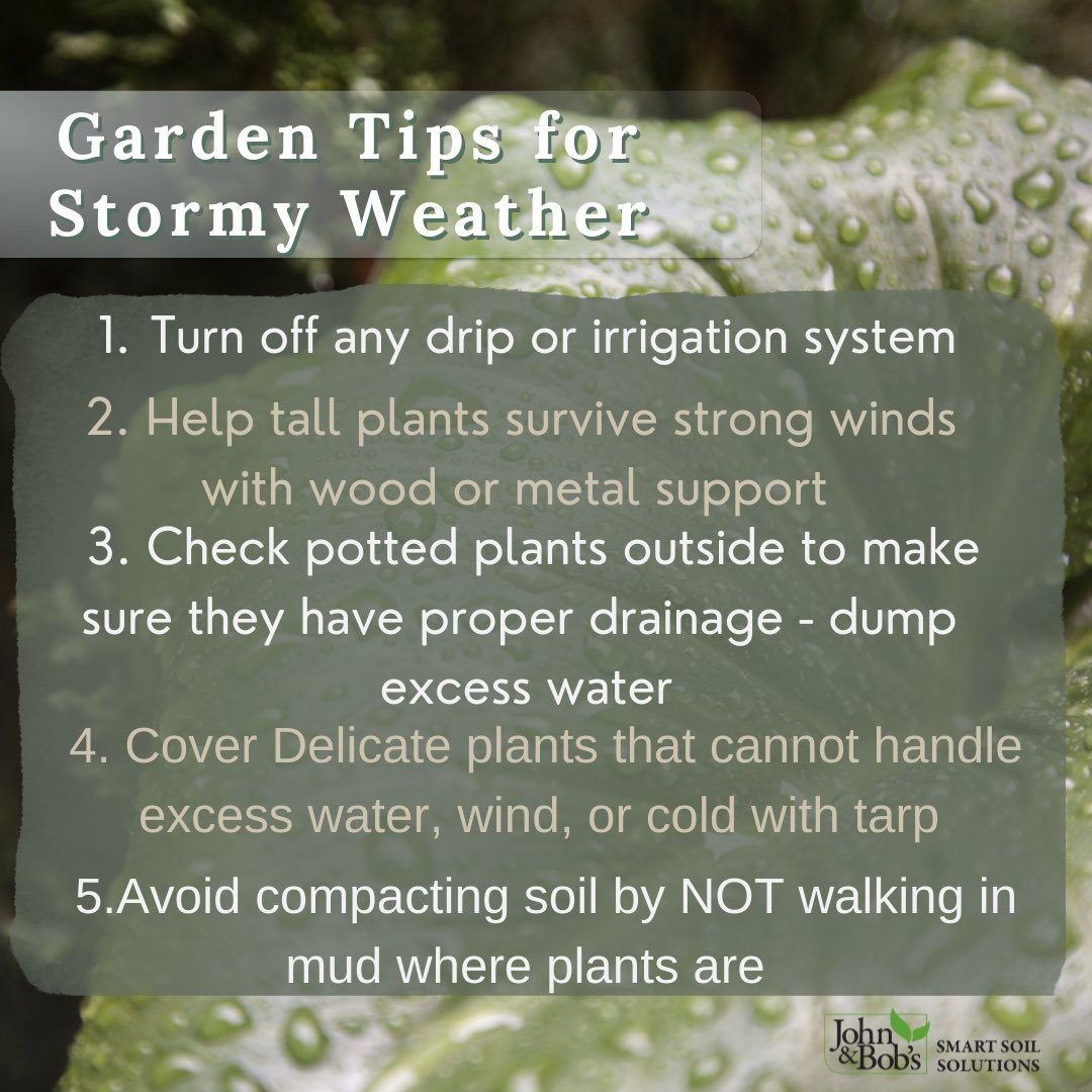 🗣 Calling all #California #Gardeners experiencing unusual #downpours 🌧

#Californiastorm #CaliforniaStorms