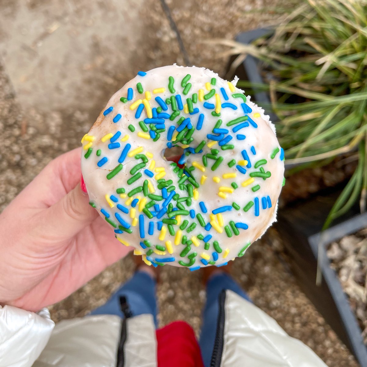 Reigningdough's tweet photo. Vanilla w/sprinkles. ✨ https://t.co/BsFclmsnUL