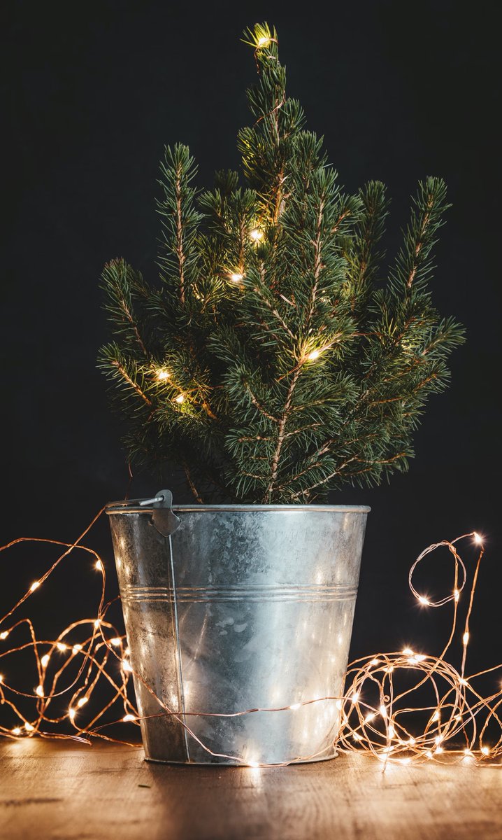 HyggeLed's tweet photo. It is the best time of the year, don't let your decorations be regressive!
#hyggeled #quntis #decorlights #decorlight #leddecor #ledlight #festivemood #Xas #holidays #barlights #homedecor #founditonamazon #outdoorlights #yard #solarlights https://t.co/SzRZV6vicn