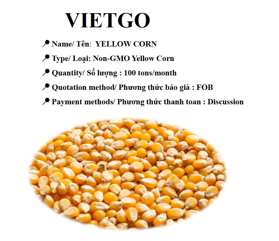VietgoV's tweet photo. 📣📣 Opportunity to export YELLOW CORN products to the OMAN market

👉👉Get detail information on this link below: https://t.co/l2euEL8Uvc

#Import, #Export,#Vietgo, #broker, #Trading , #buyinginquiry
 #yellowcorn https://t.co/xlAn0Hek2a