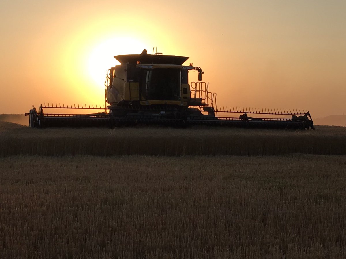 KenKirk1's tweet photo. Ag Days is back on! I will be at the Royal LePage booth Thursday from 9-1. Stop by the UCT pavilion and say hi. I will be happy to answer any farm real estate questions you may have.  @RoyalLePage_Bdn #manitobaagdays #farmlife https://t.co/i5Xd9oP6wt