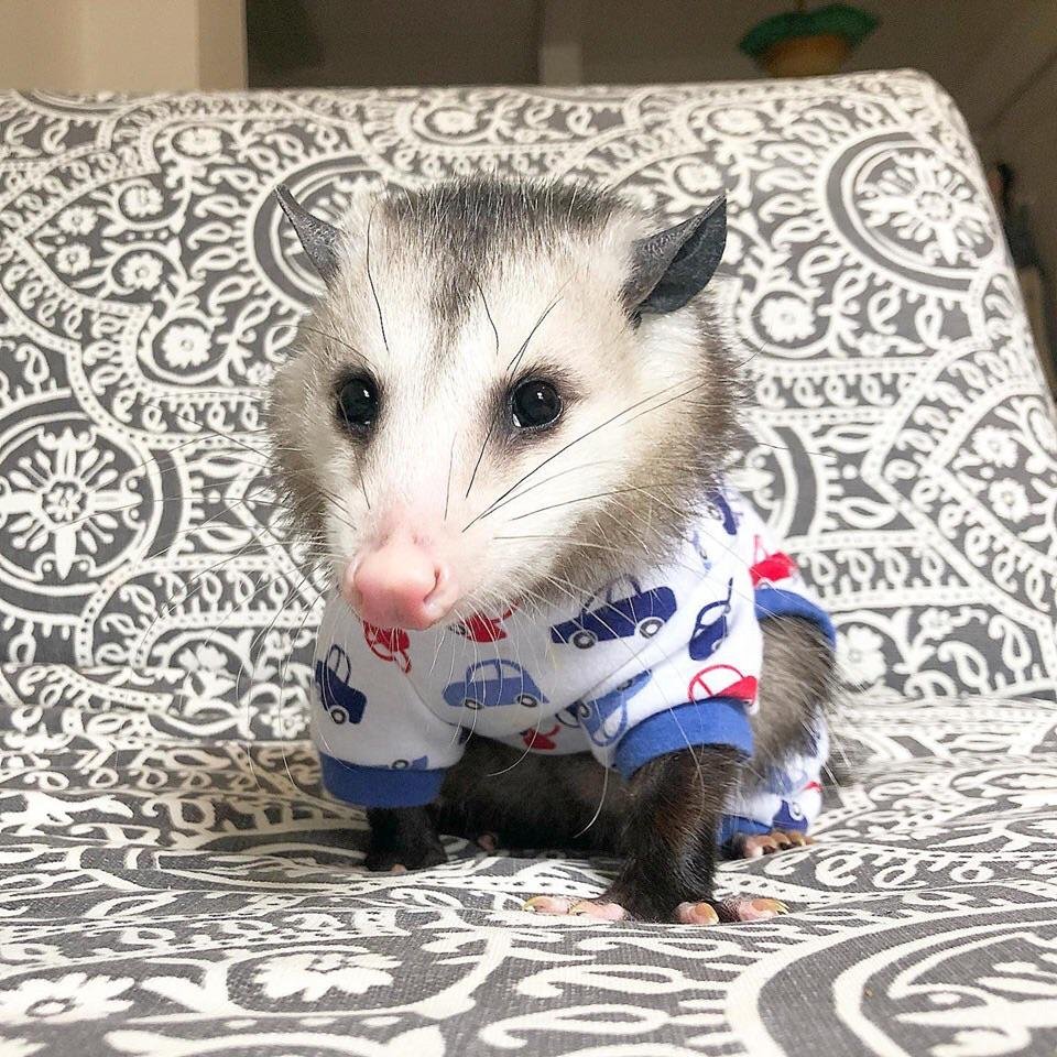 Im ready for beddy time

whos gonna snuggle with me?