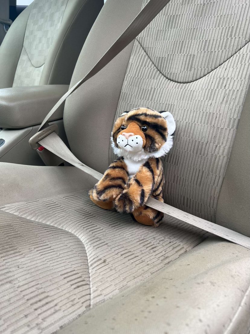 Grinnell Softball tweet media