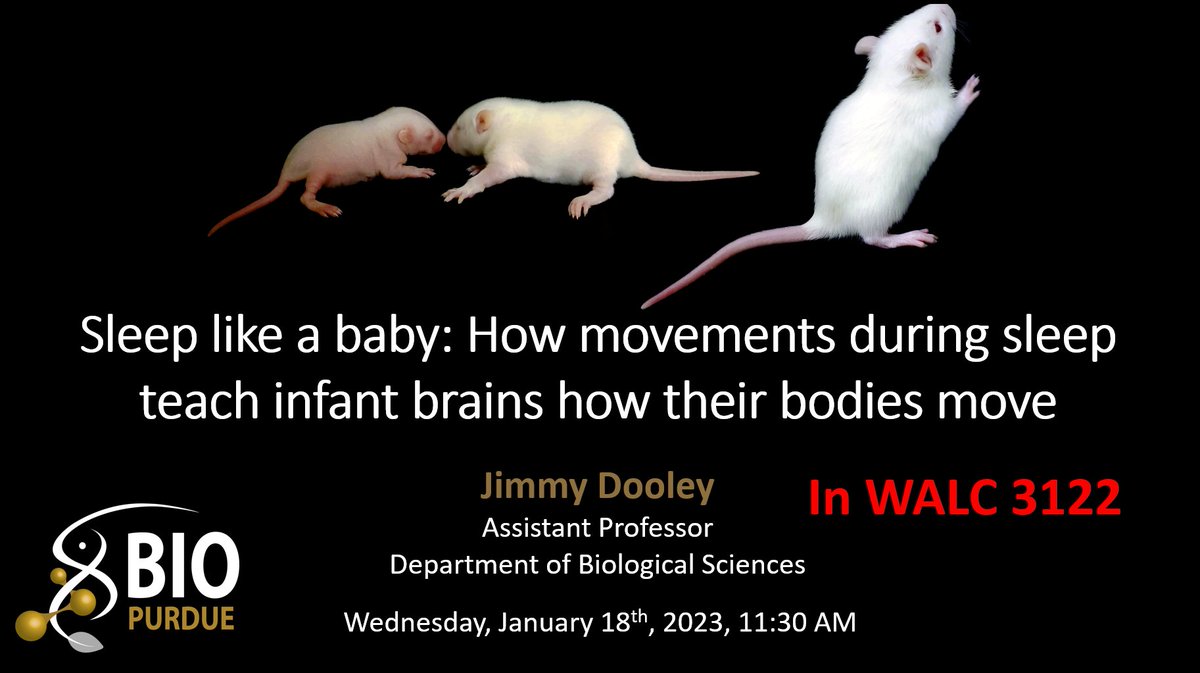 @Purdue_PsychSci ...I guess it would help if I put the location of the talk... 

It's in WALC 3122.