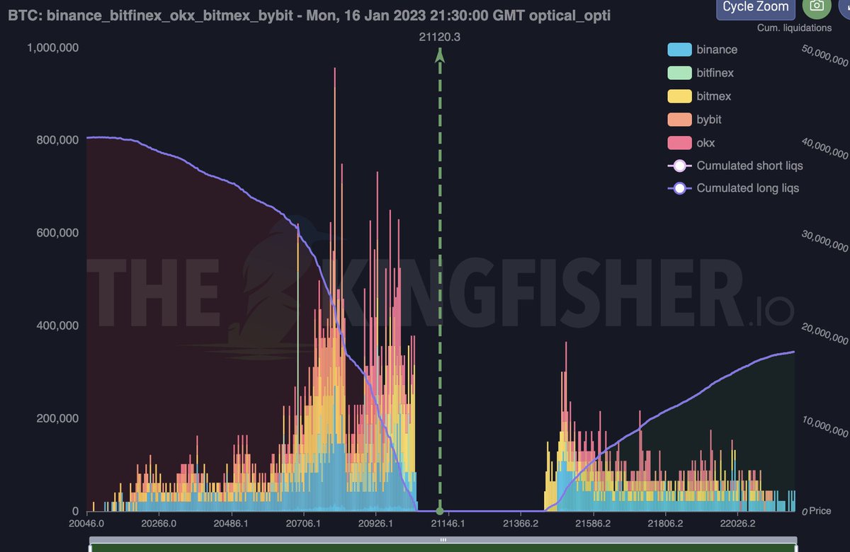 TheKingfisher tweet media