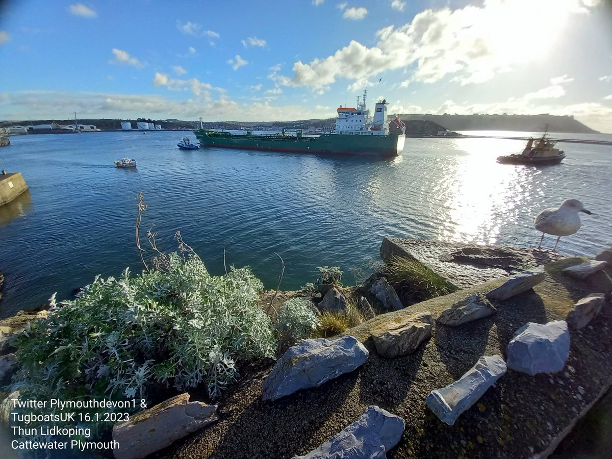 PlymouthDevon1's tweet photo. THUN LIDKOPING inbound to Cattewater Plymouth this morning. #Plymouth #ThunLidkoping #THUN #Cannis #PrinceRock #Cattewater #BritainsOceanCity #Lidkoping https://t.co/LRti9yetVb