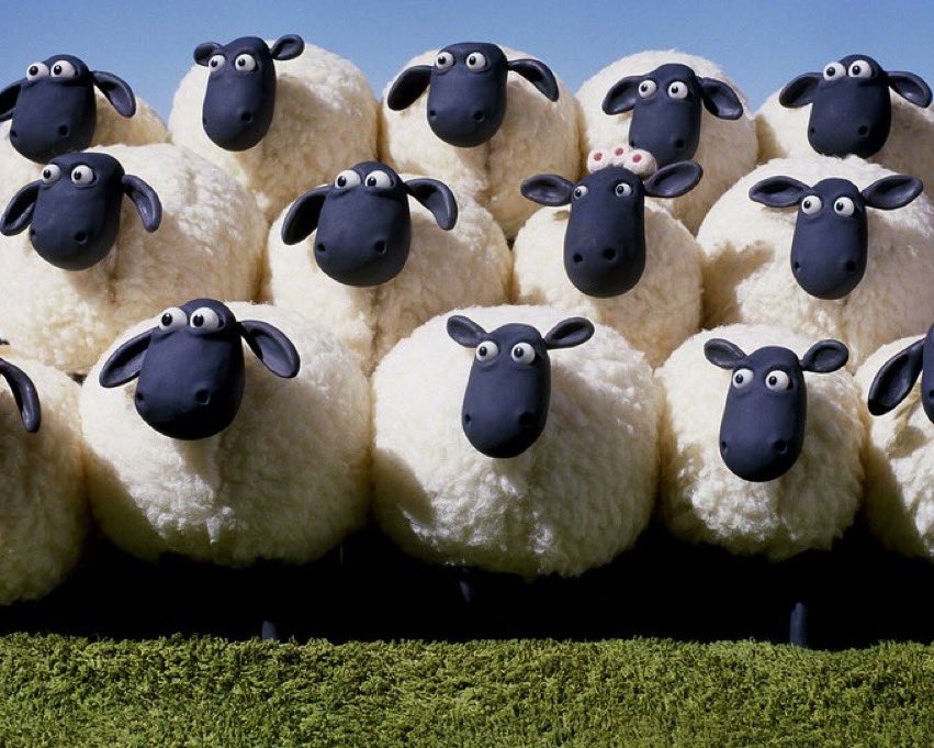 xkaysea's tweet photo. will’s sheep watching him chat shit on national TV  #LoveIsland https://t.co/YYdSLAsNy5