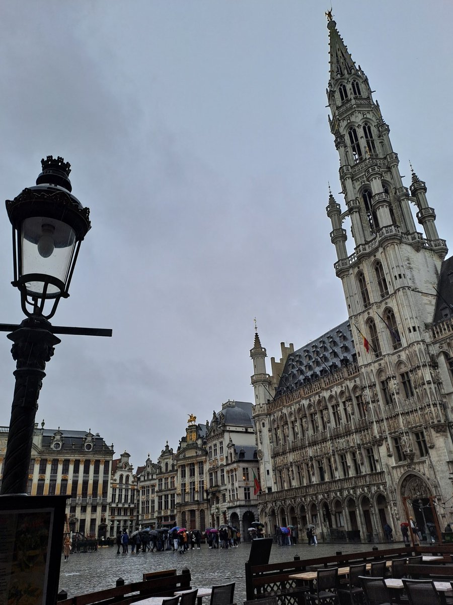 technicalwrite8's tweet image. Really enjoying Brussels so far except it's rainy and cold