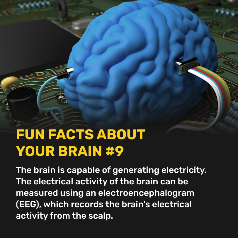 drinkstacks's tweet photo. Fun Facts About Your Brain #9
The brain is capable of generating electricity. The electrical activity of the brain can be measured using an electroencephalogram (EEG), which records the brain's electrical activity from the scalp.

#funfacts #brain #facts #STACKS #DRINKSTACKS https://t.co/Qr6TuMQmQQ