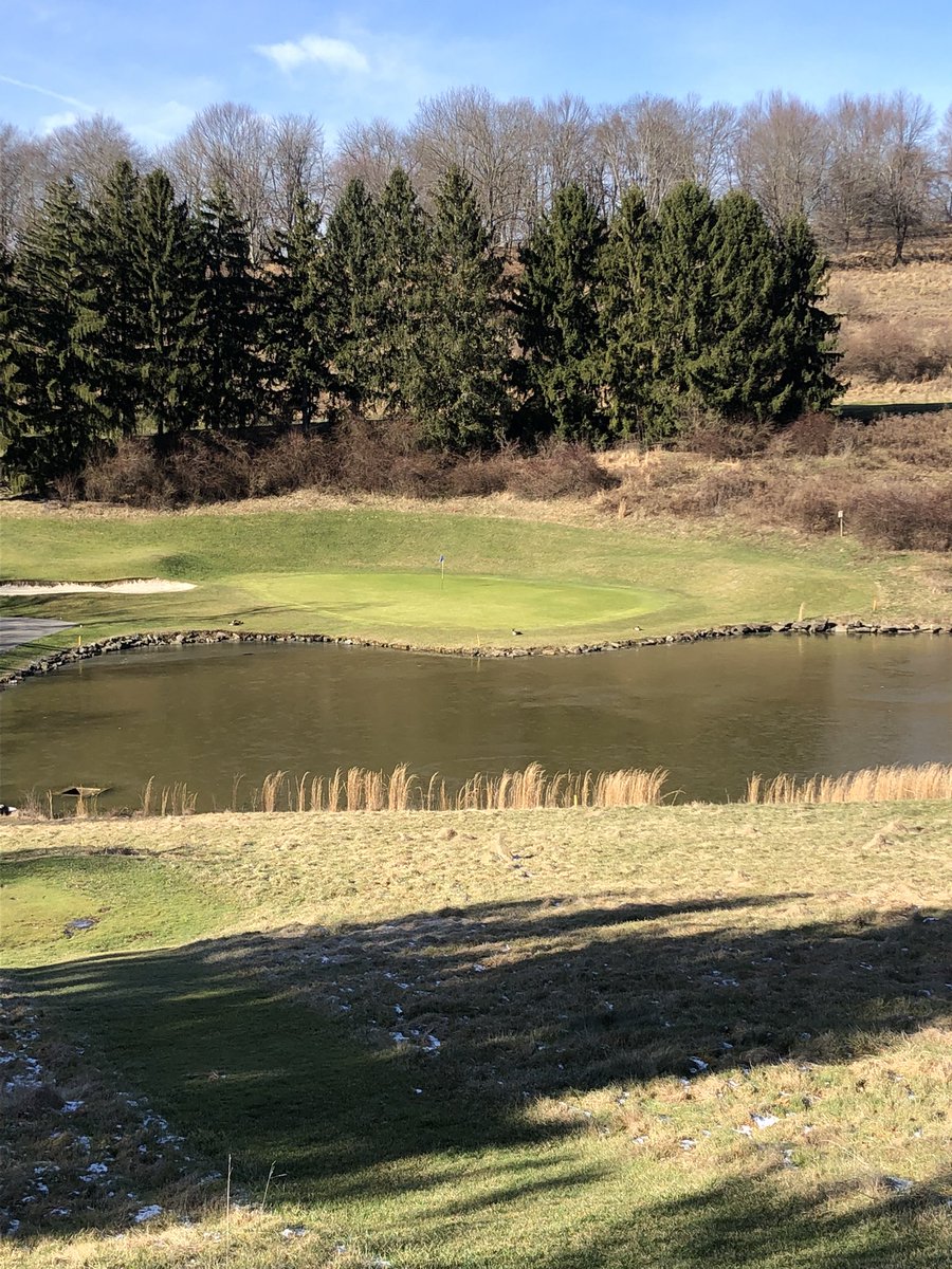 Kelly Rine tweet media