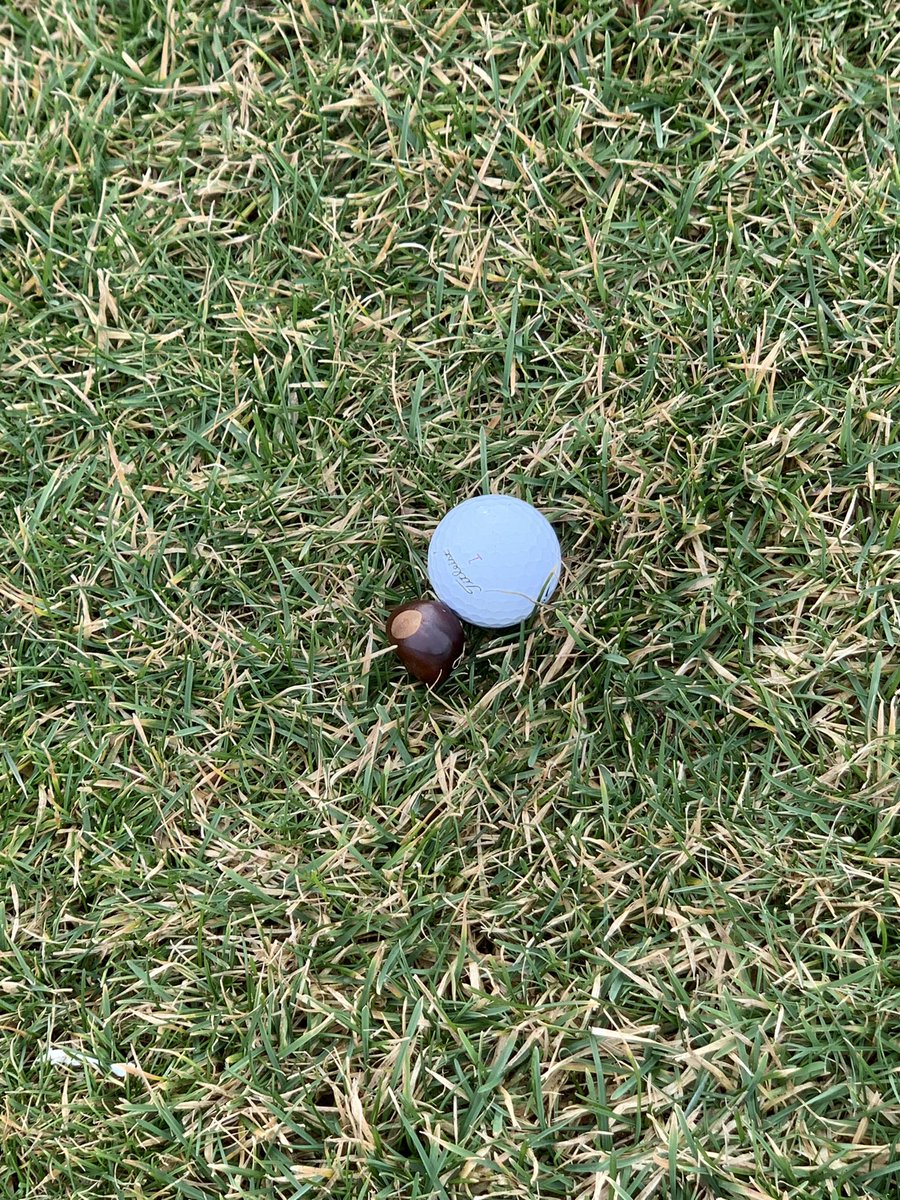 Kelly Rine tweet media