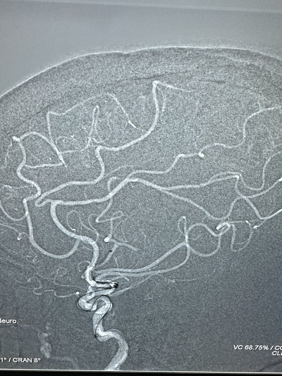 Alex Hoang tweet media