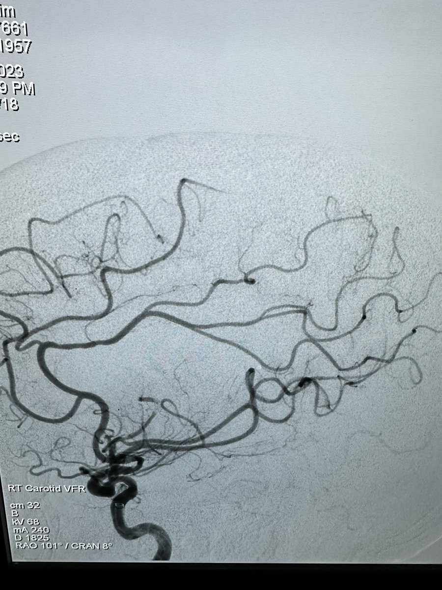 Alex Hoang tweet media