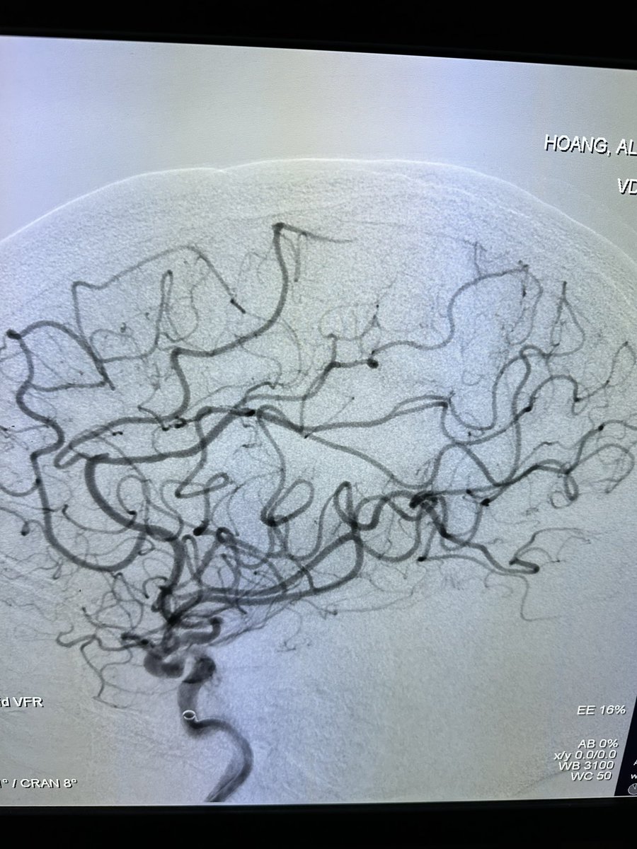 Alex Hoang tweet media