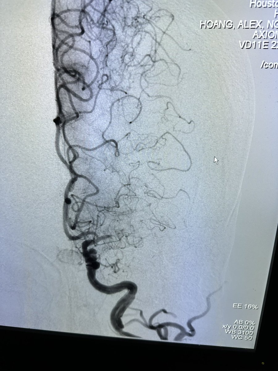 Alex Hoang tweet media