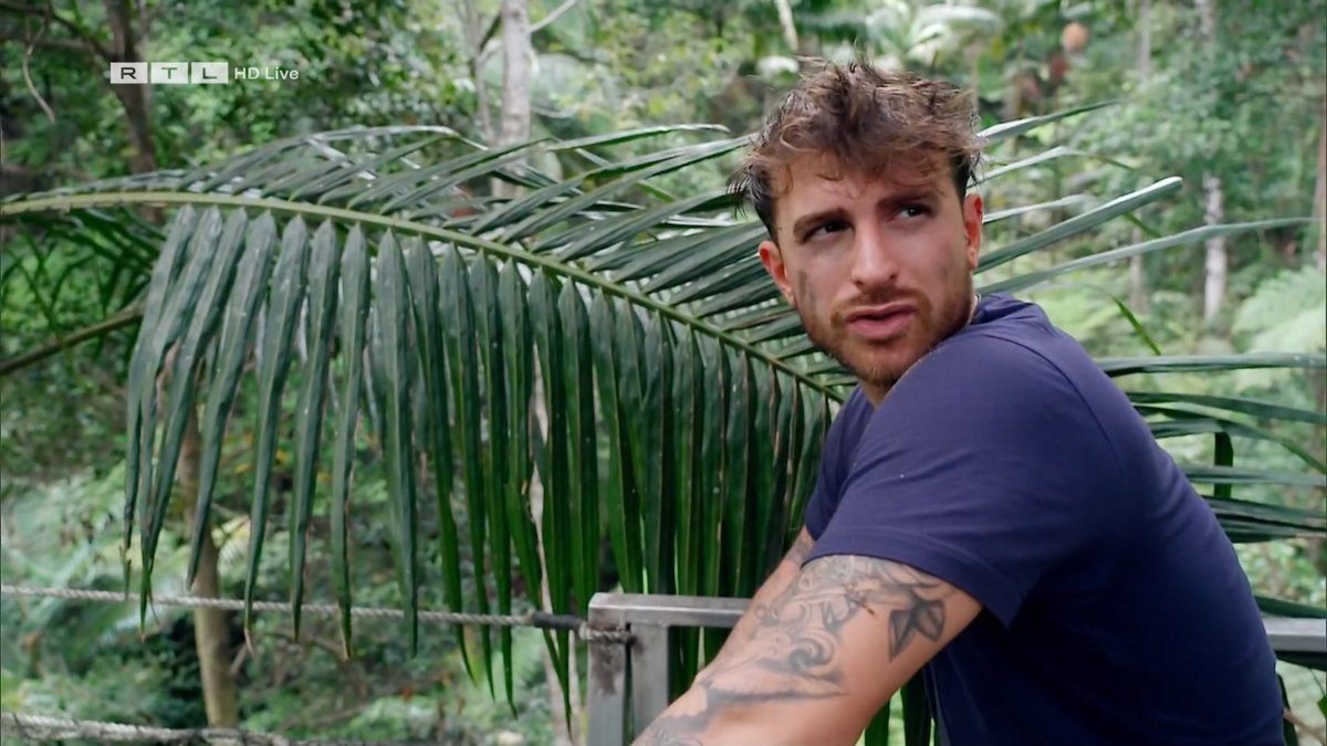 Thomas__2290's tweet photo. Ich liebe Gigi einfach wie er Tessa Scheiße findet 😍😍😍 #IBES https://t.co/LnwN4bvb4X