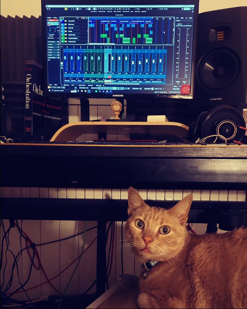 What would a studio be without a cat. Missi the cat, a daily dose of love and inspiration 😻
#studiocat