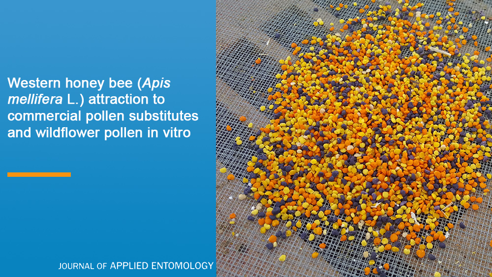 JApplEntomol's tweet photo. This recent study from @USDA_ARS  shows that honey bees strongly prefer wildflower pollen over commercial pollen substitutes.

Read more 👉 https://t.co/HTFqthjP5K

@WileyEcolEvol @bee_papers https://t.co/RfuPYOj8v9